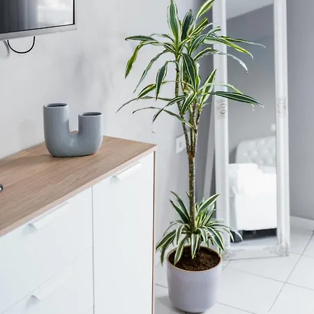 Casa Albastra & * 波多河丽