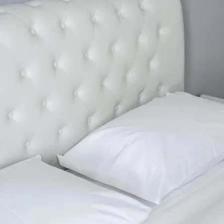 Casa Albastra & 波多河丽