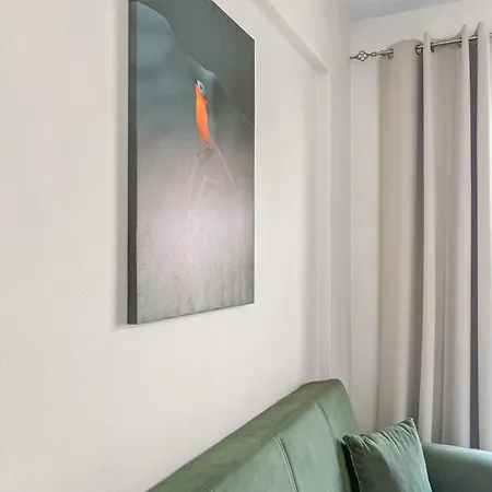 公寓 Casa Albastra &